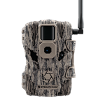 Trail Cameras