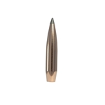 Nosler 58456 NOSLER BULLETS 30 CAL .308 190GR ACCUBOND LR 100CT