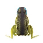 Lunkerhunt POP04 Popping Frog Hollow Body Frog, 2 3/4" Extend, 1/2 oz, Bluegill, Floating