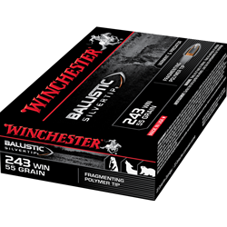 Winchester Ammunition SBST243 WINCHESTER SUPREME 243 55GR BALL SILVER-TIP 20RD 10BX/CS <