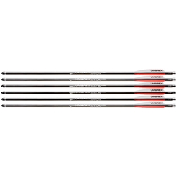 Umarex 2252661 Air Saber Arrow Pack 6 Arrows