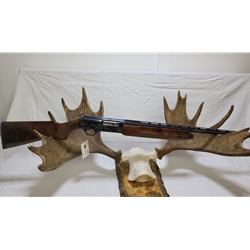 Browning Firearms  UB-8012GA Pre-owned Browning B-80, Ducks Unlimited, 12ga, 2-3/4, 30", choked for steel shots